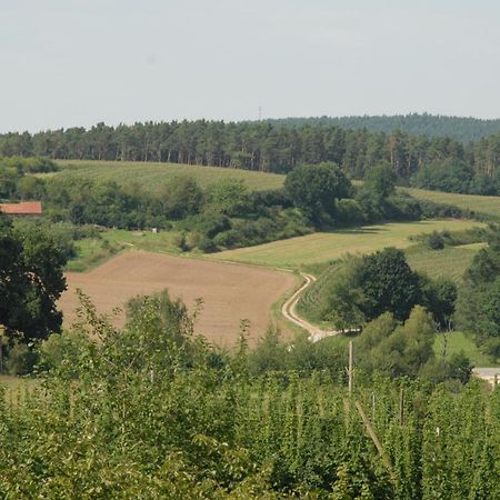 Ferienwohnung Passivhaus "Schoene Aussicht" Georgensgmund Dış mekan fotoğraf