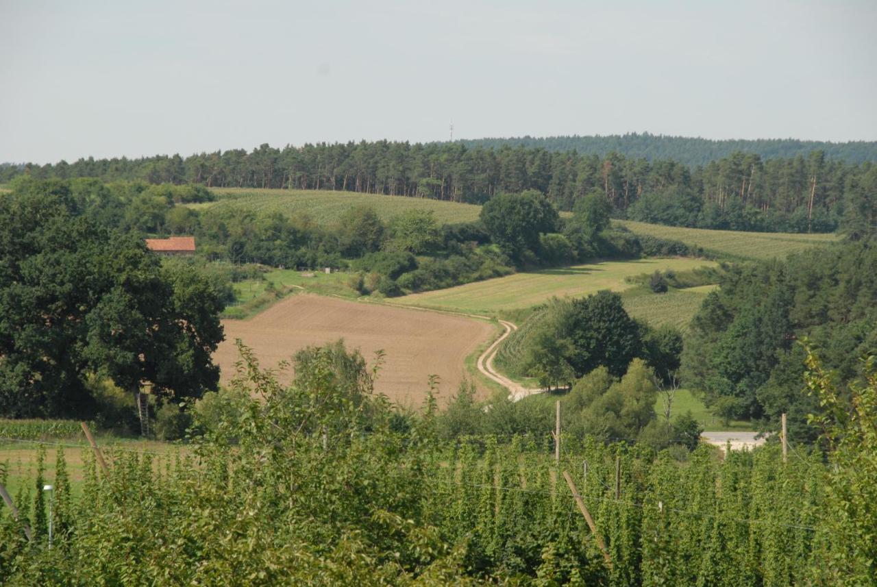 Ferienwohnung Passivhaus "Schoene Aussicht" Georgensgmund Dış mekan fotoğraf